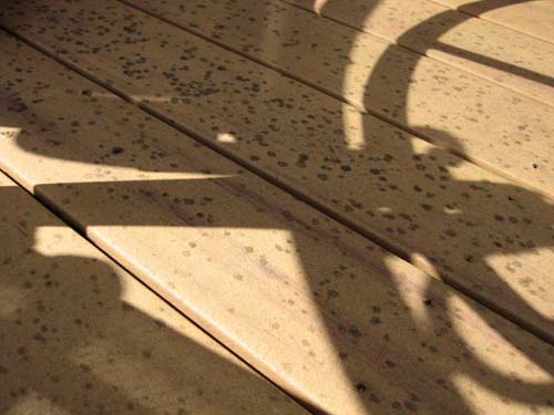 These mold spots keep coming back!